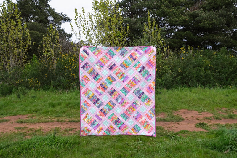 The Iris Quilt in Tiny Beasts