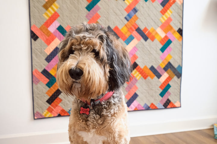A Scrappy Phoebe Quilt