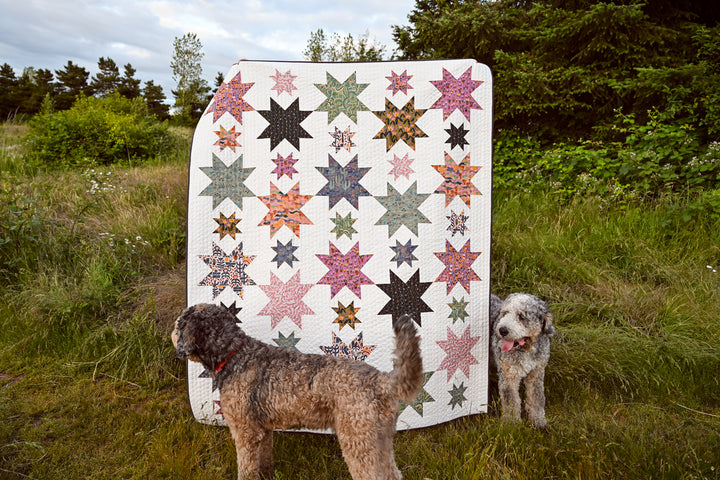 The Helen Quilt Pattern with Leah Duncan's Yuma Collection